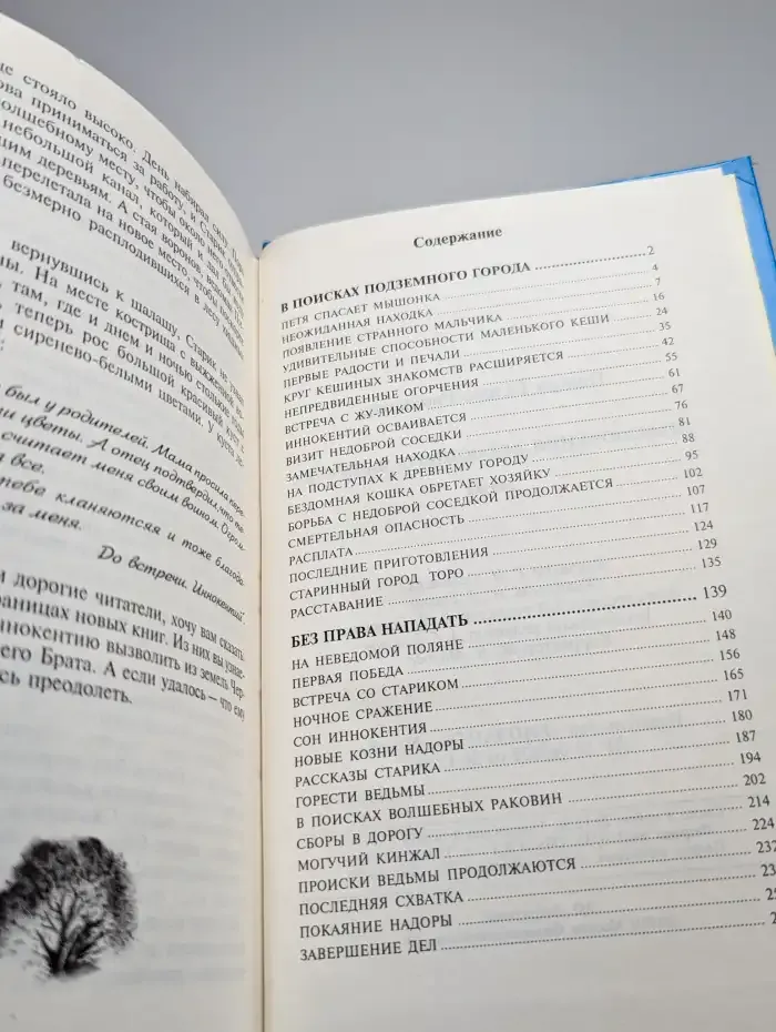 Приключения летающего мальчика