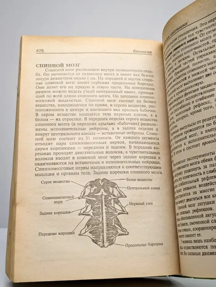 Биология. Справочник школьника