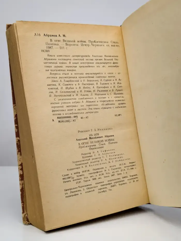 В огне великой войны