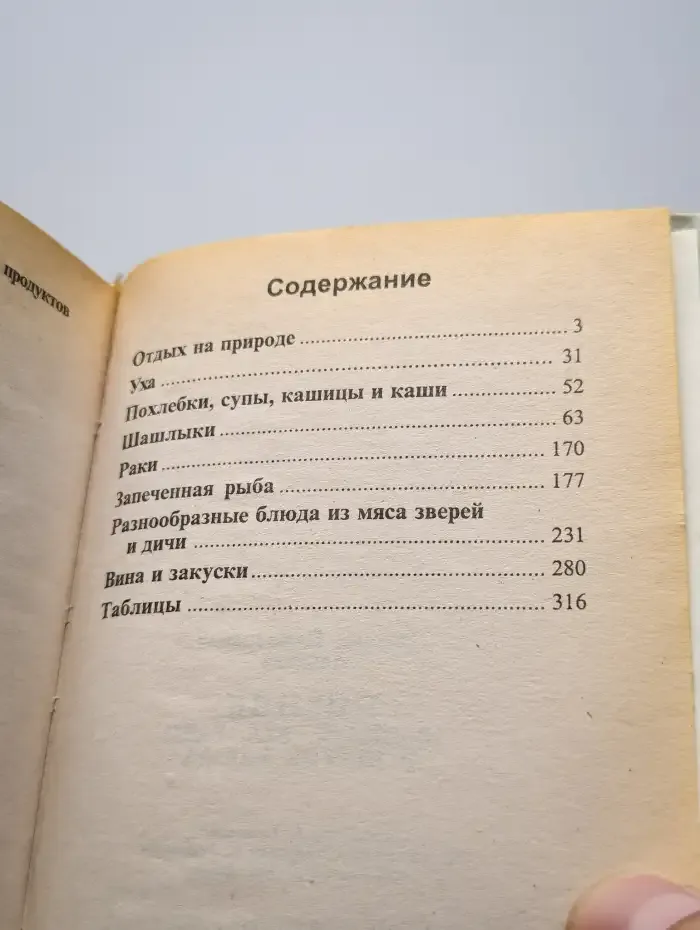 Пикник. Шашлык, уха, раки и другие блюда