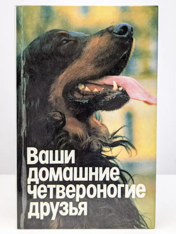 Ваши домашние четвероногие друзья