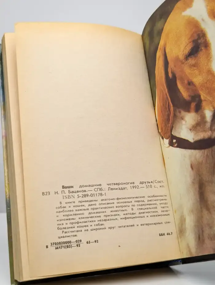 Ваши домашние четвероногие друзья