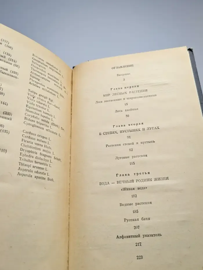 Родники здоровья