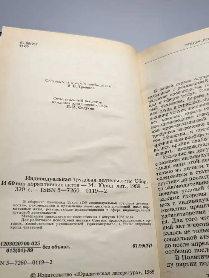 Индивидуальная трудовая деятельность