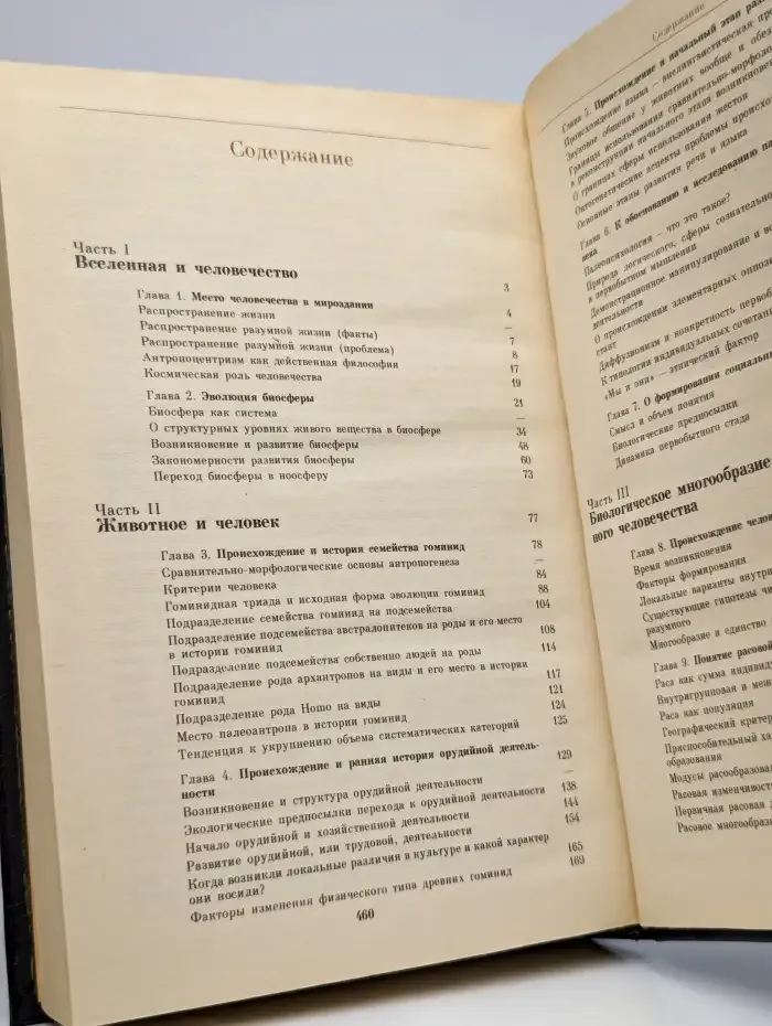 Становление человечества