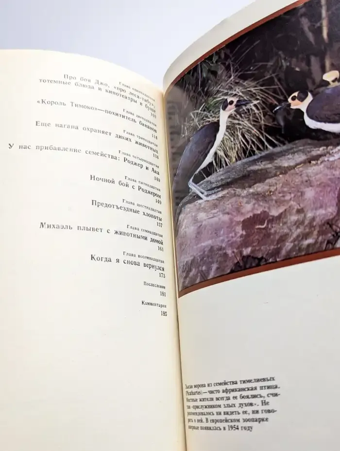 Мы жили среди "Бауле"