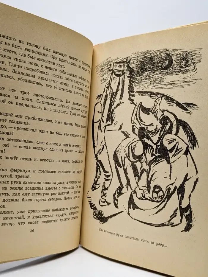 Чок-прим, или дневник индюшонка