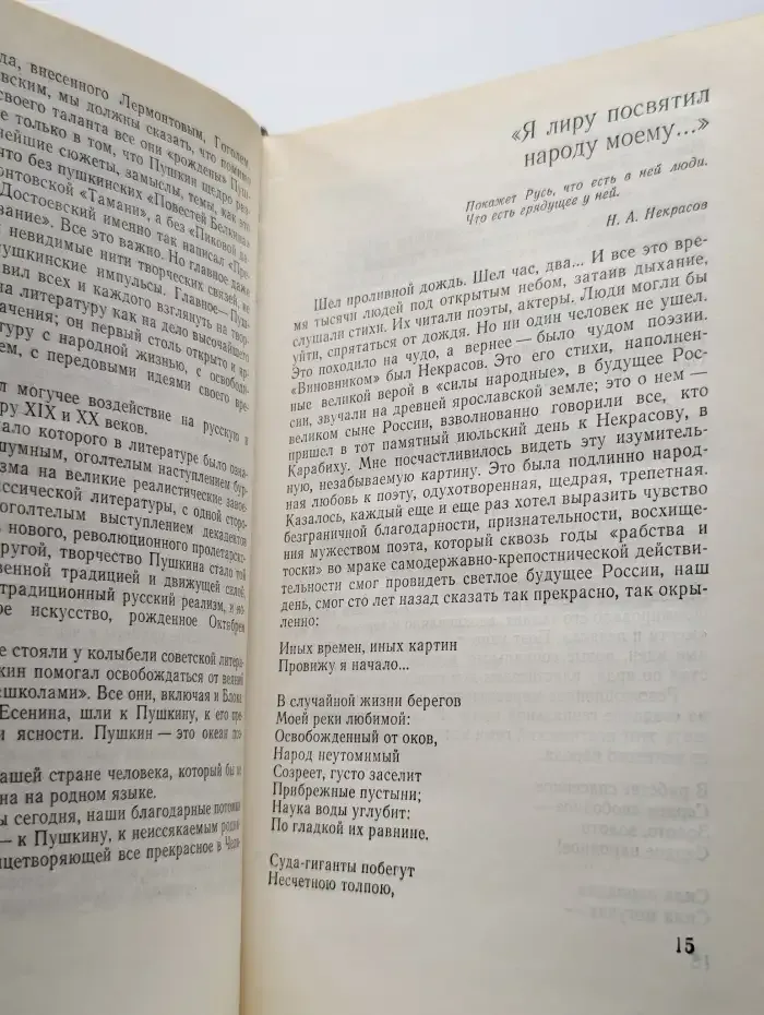 Россия - моя поэзия. Раздумья критика