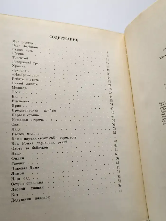 Говорящий грач