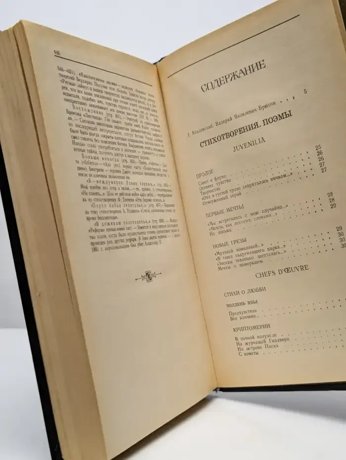 В. Я. Брюсов. Избранное