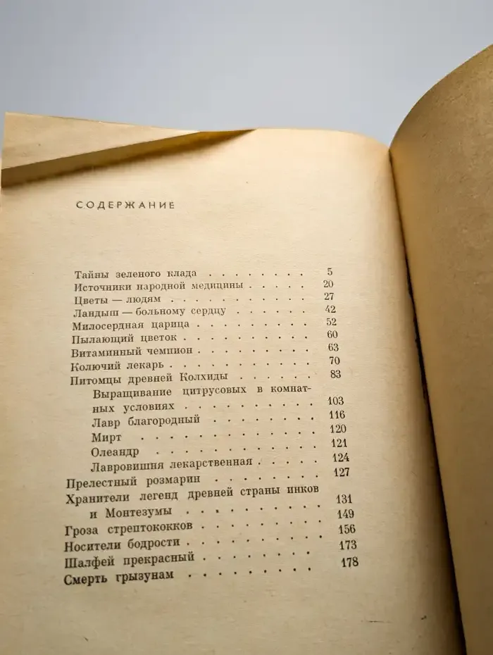 Лечебница на подоконнике