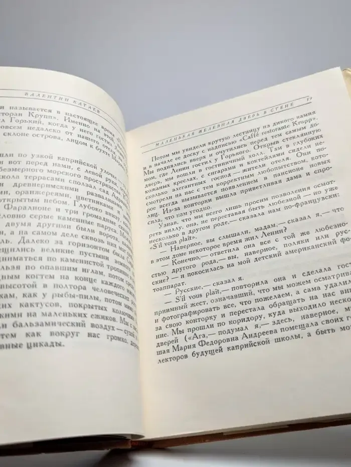 Маленькая железная дверь в стене