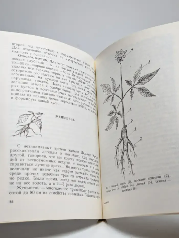 Редкие полезные растения