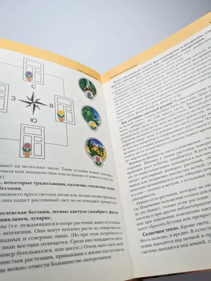 Комнатные растения