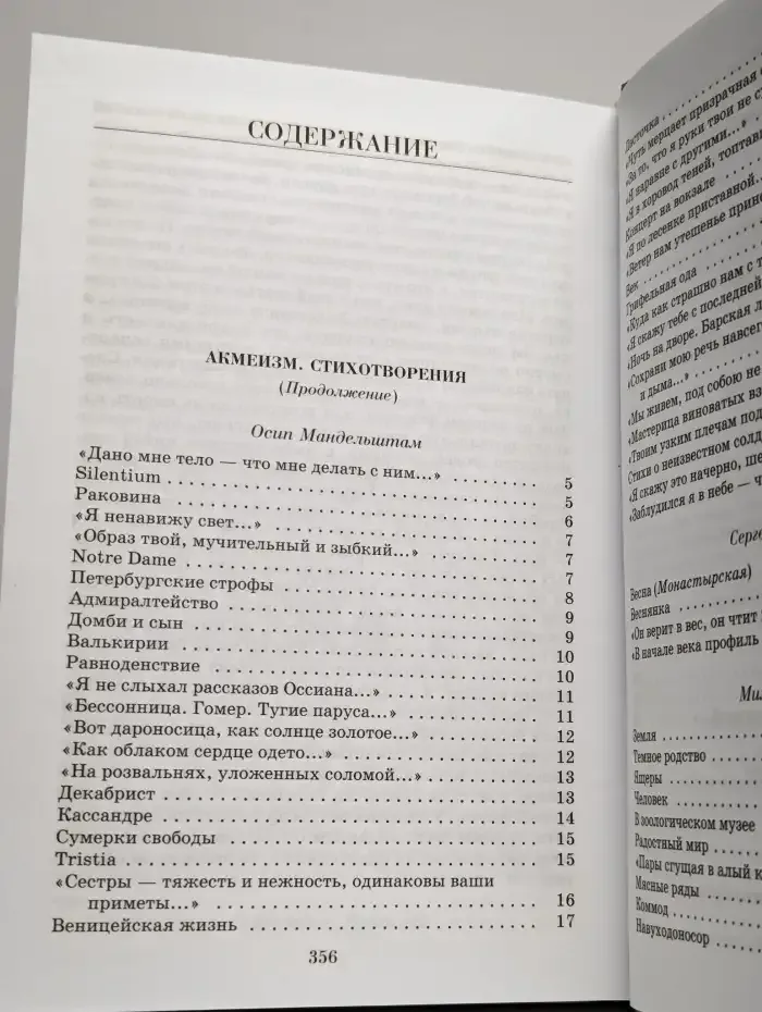 Поэзия серебряного века. В 2 томах. Том 2