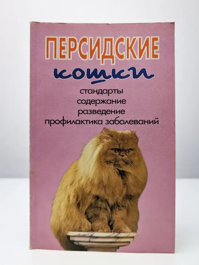 Персидские кошки. Стандарты. Содержание. Разведение