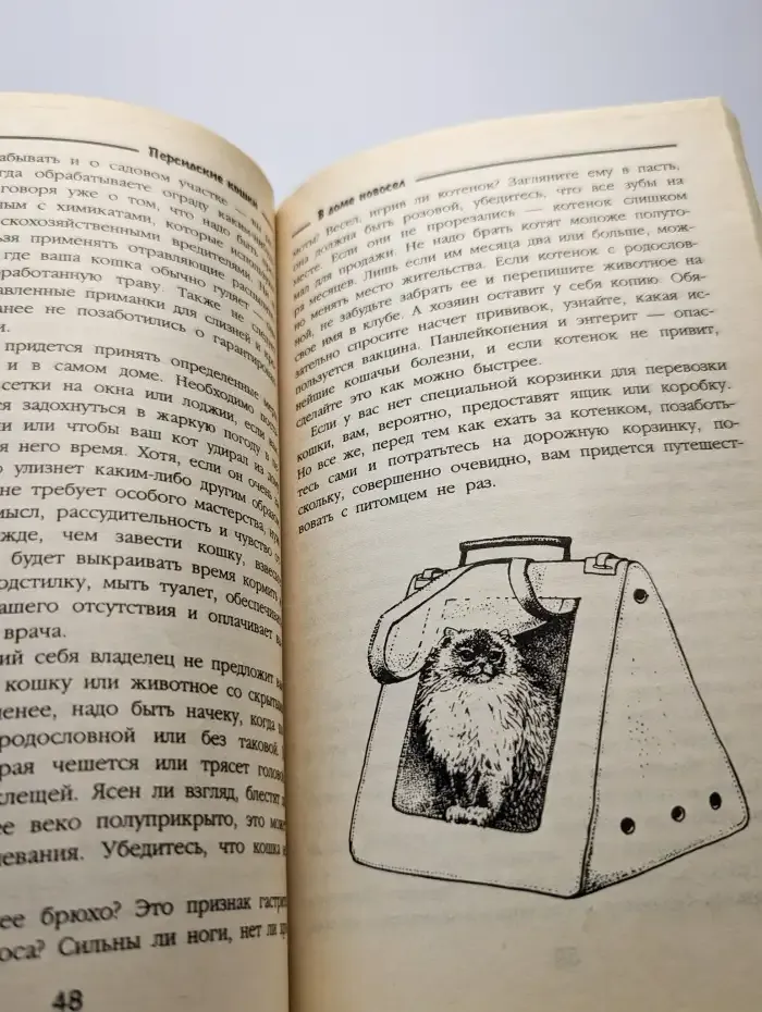 Персидские кошки. Стандарты. Содержание. Разведение