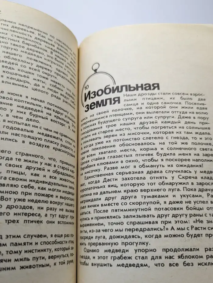 Медведи и я