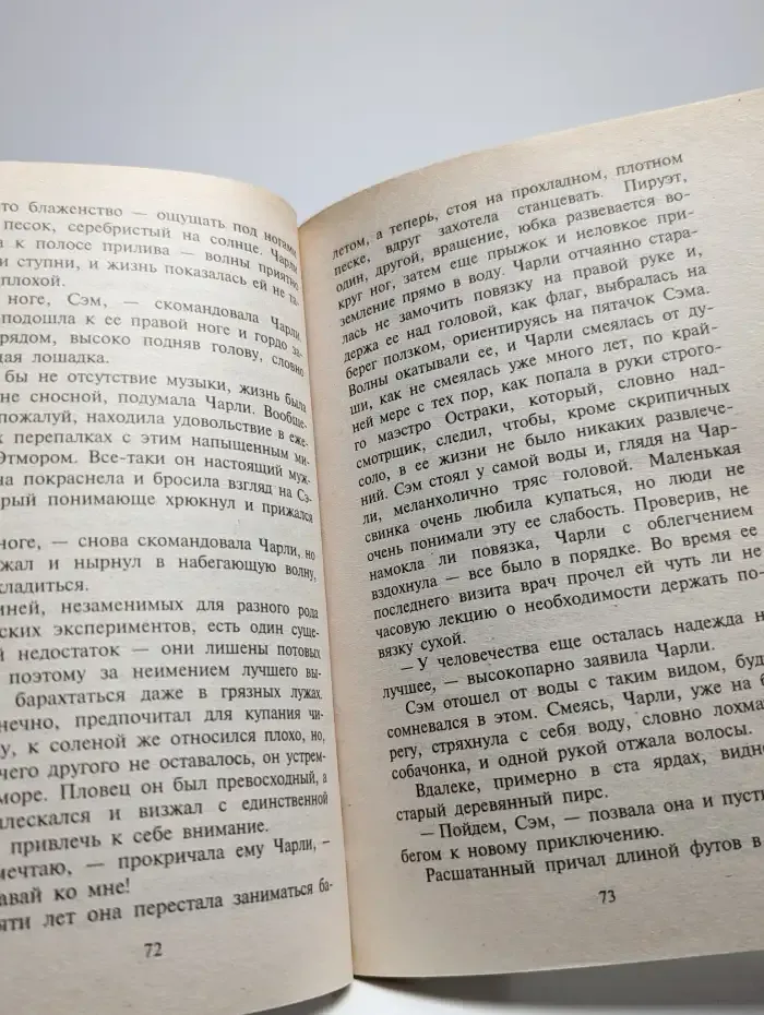 Летняя буря