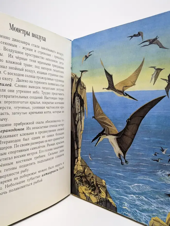 Миллионы лет до нашей эры