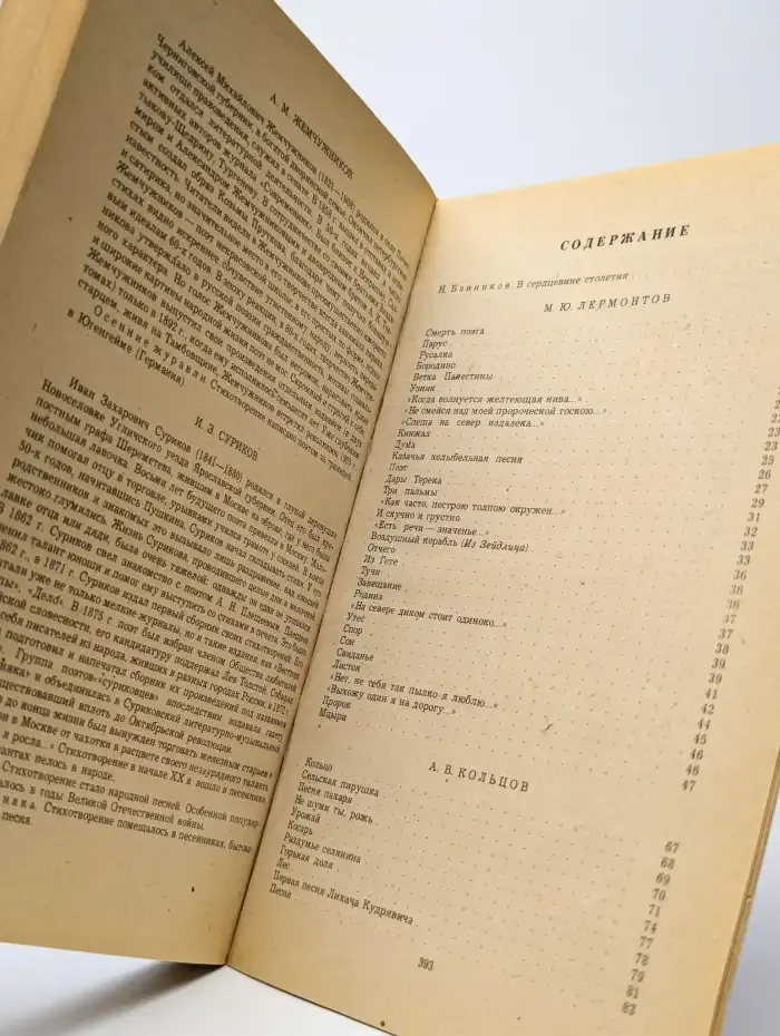 Русская поэзия середины XIX века