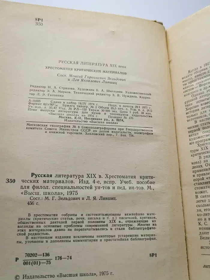 Русская литература XIX века