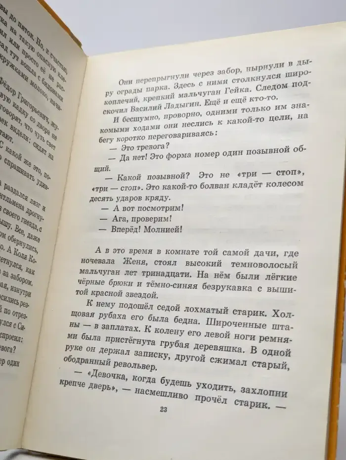 Тимур и его команда