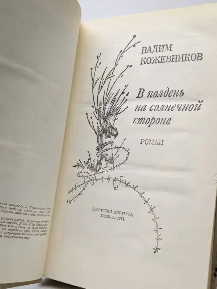 В полдень на солнечной стороне