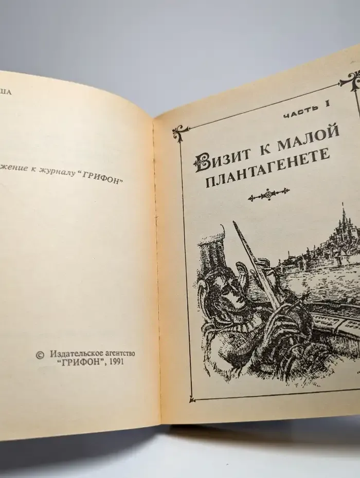 Чародей поневоле