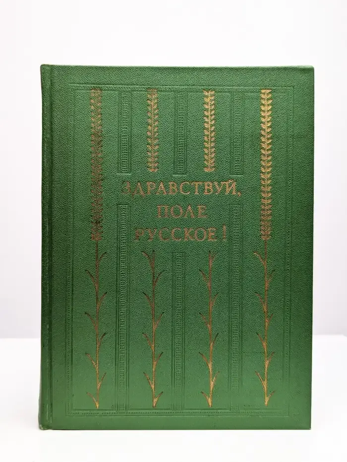 Здравствуй, поле русское!