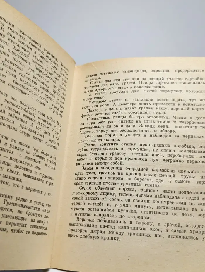 Навсегда улетели, навсегда...