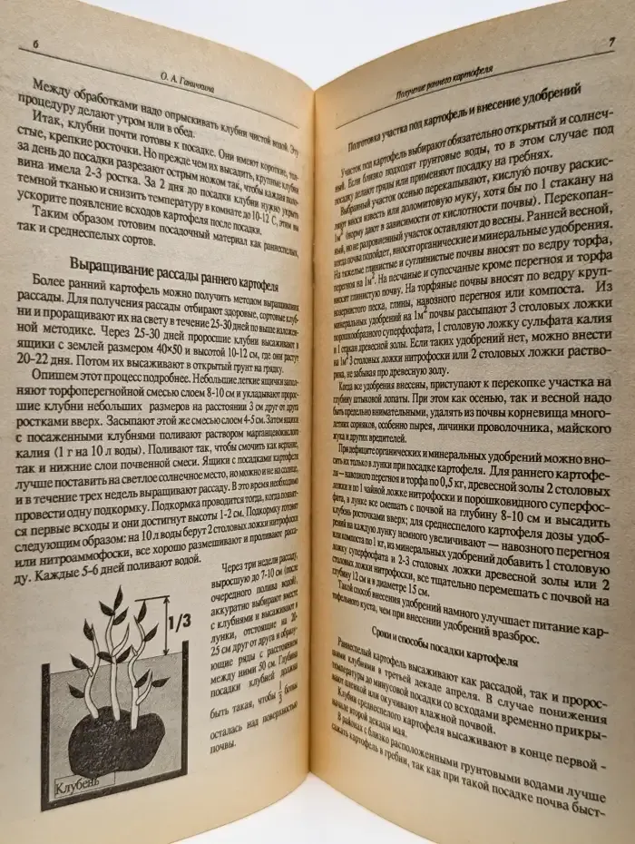 Получение раннего картофеля