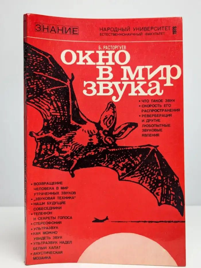 Окно в мир звука