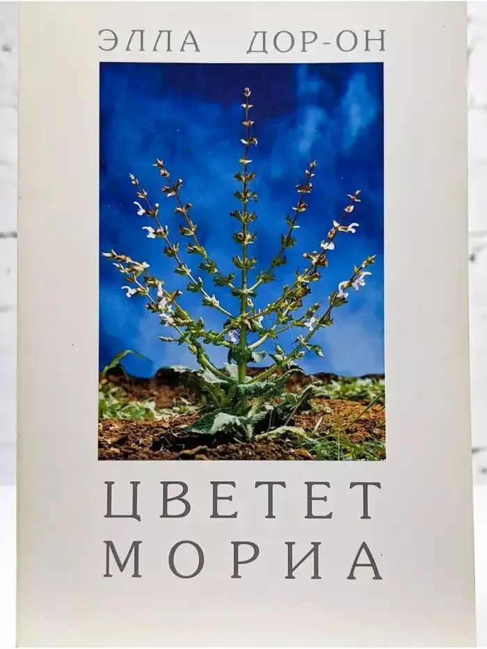 Цветет Мориа