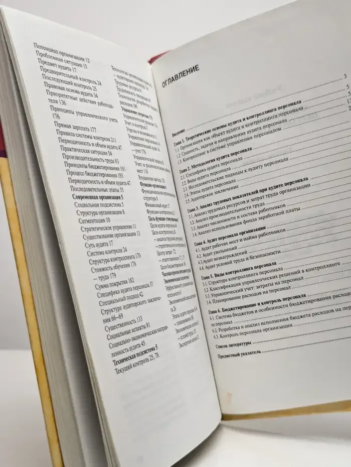 Аудит и контроллинг персонала организации