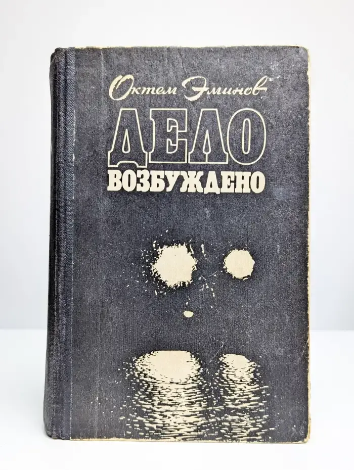 Дело возбуждено