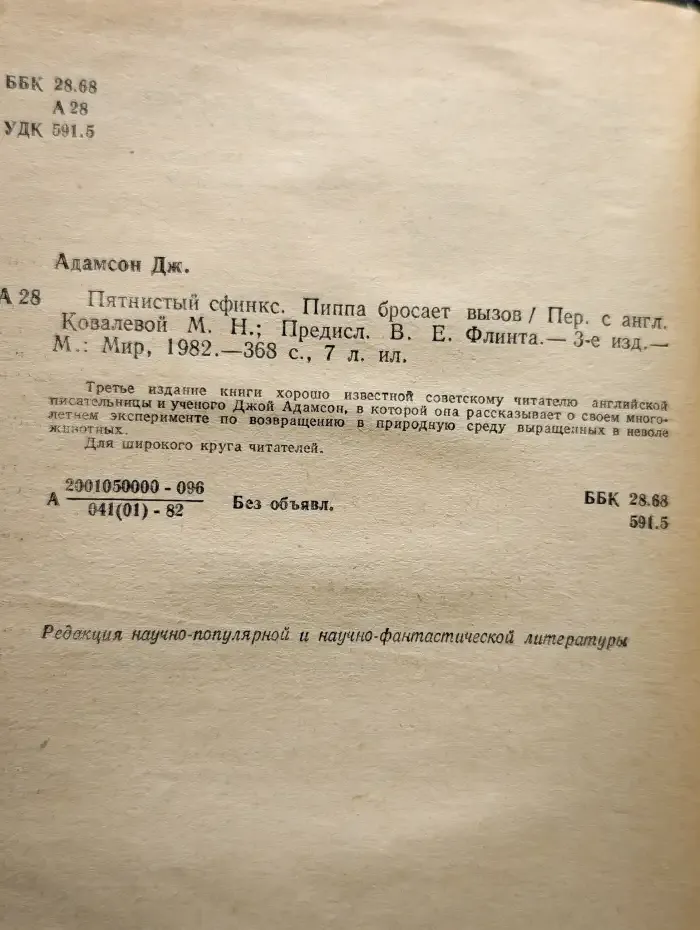 Пятнистый сфинкс. Пиппа бросает вызов