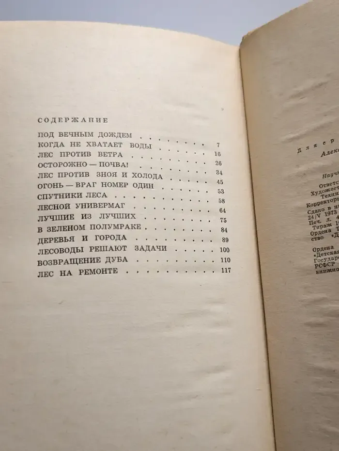 Лес