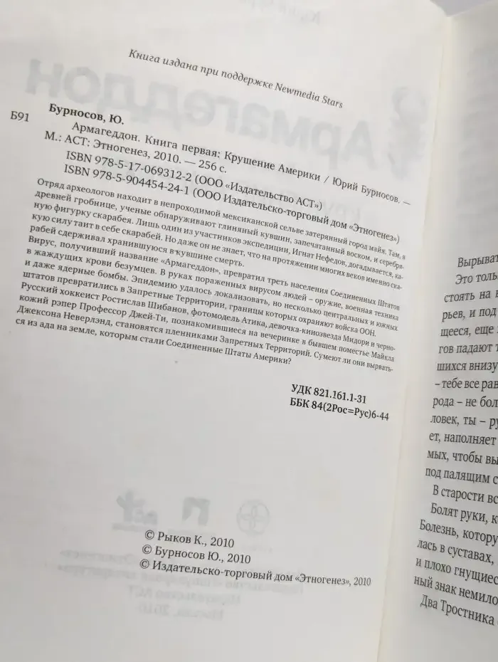 Армагеддон. Книга 1. Крушение Америки