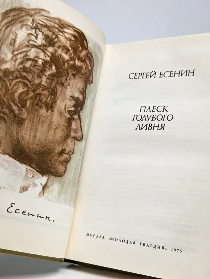 Плеск голубого ливня