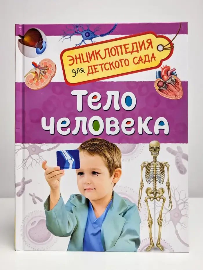 Тело человека