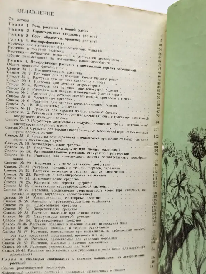 Лечение травами