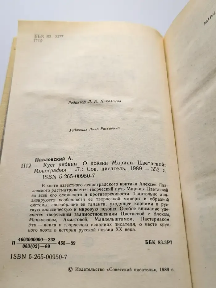 Куст рябины