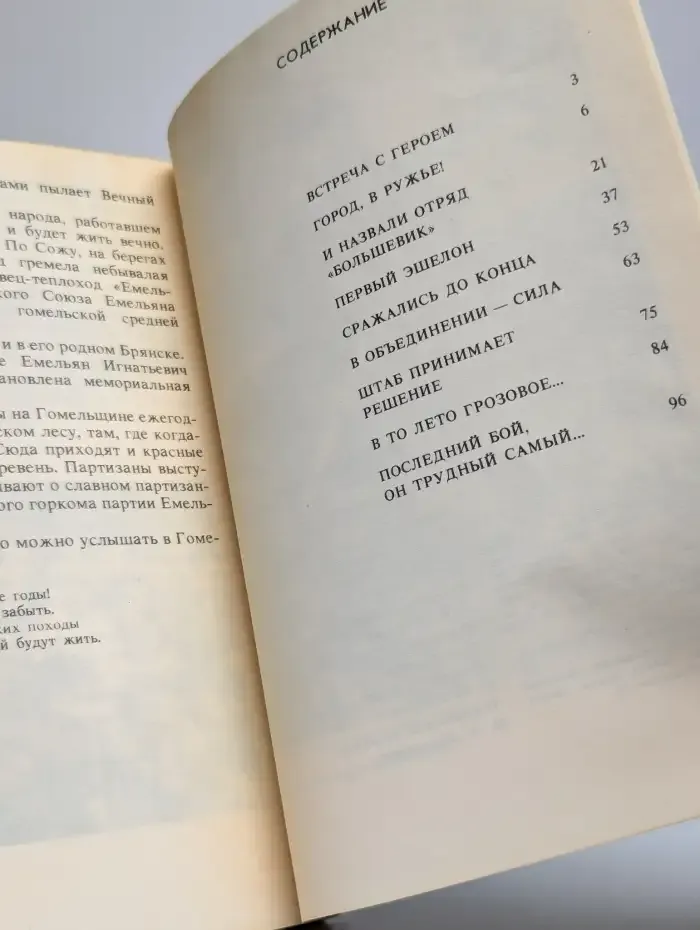 Пламя над Сожем