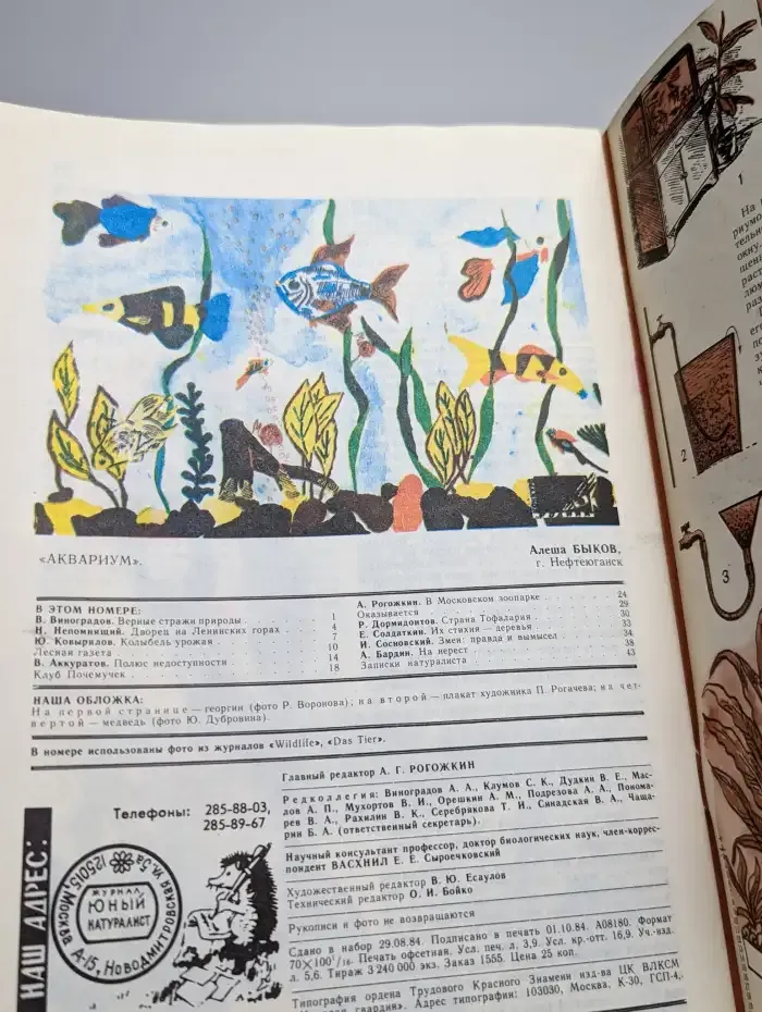 Юный натуралист. Выпуск № 11/1984