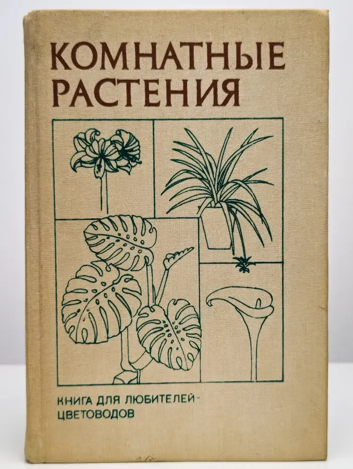 Комнатные растения