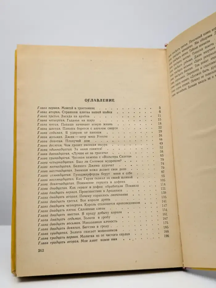 Приключения Гекльберри Финна