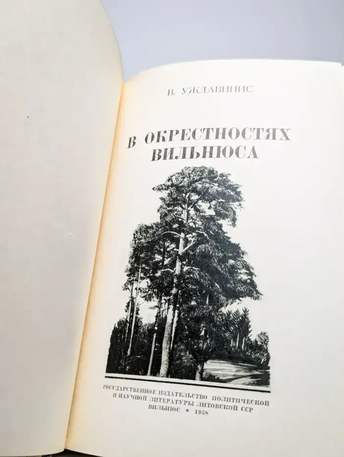 В окрестностях Вильнюса