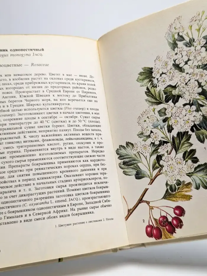 Лекарственные растения