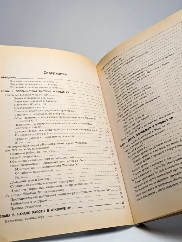 Windows XP Professional. Эффективный самоучитель